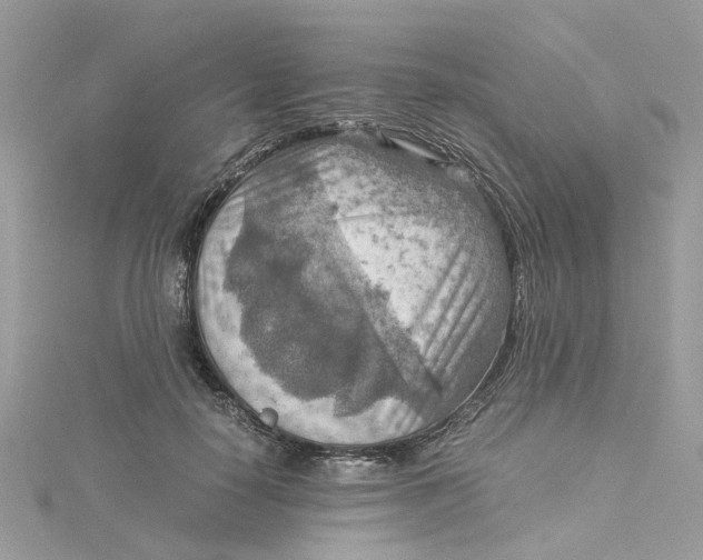 X0000115190650200911181449