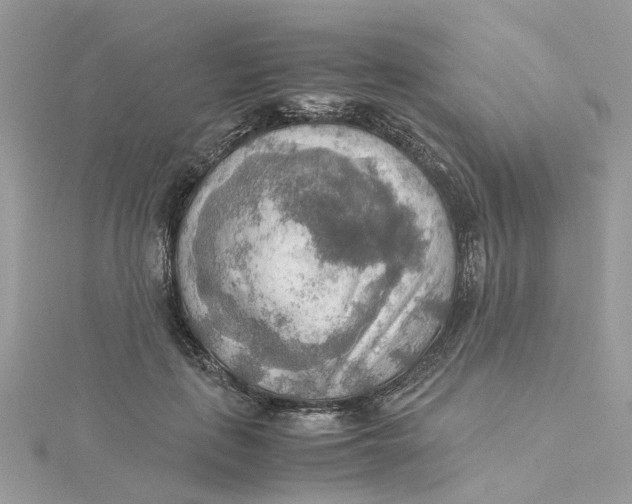 X0000115190651200911181449