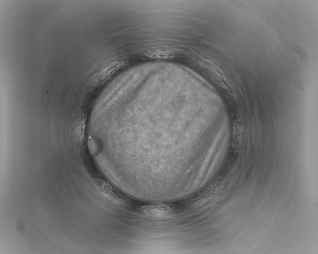 X0000115190652200911181449