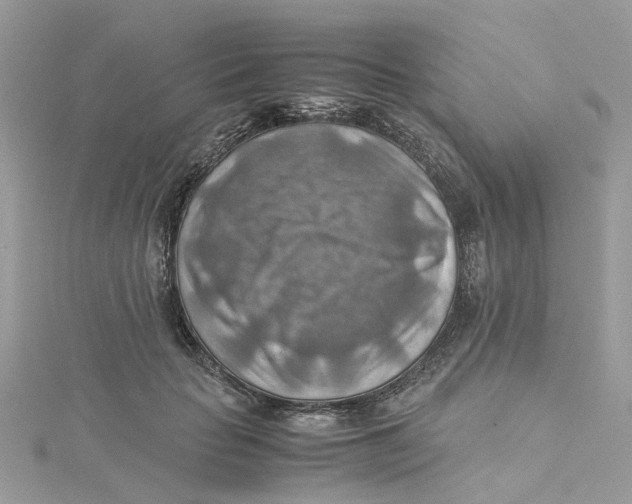 X0000115190653200911181449