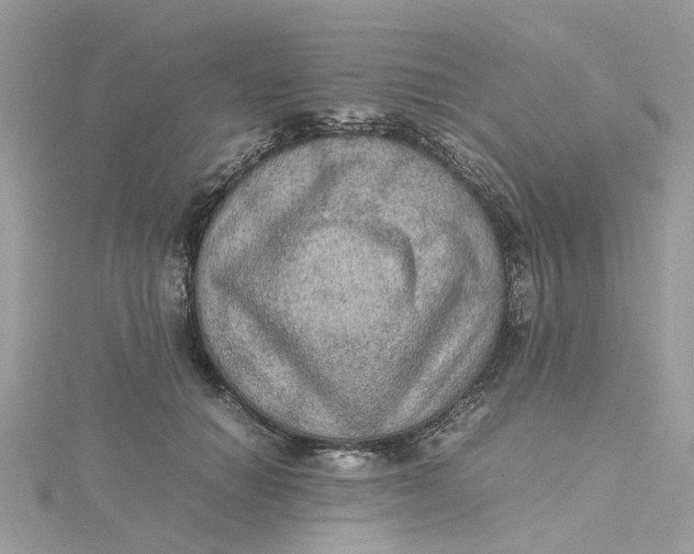 X0000115190654200911181449