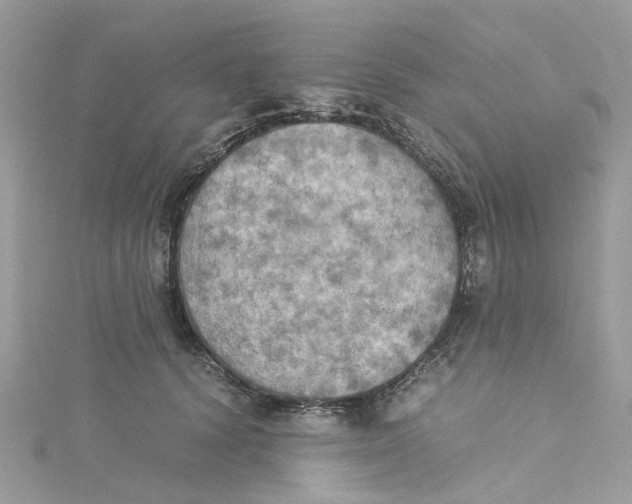 X0000115190656200911181449