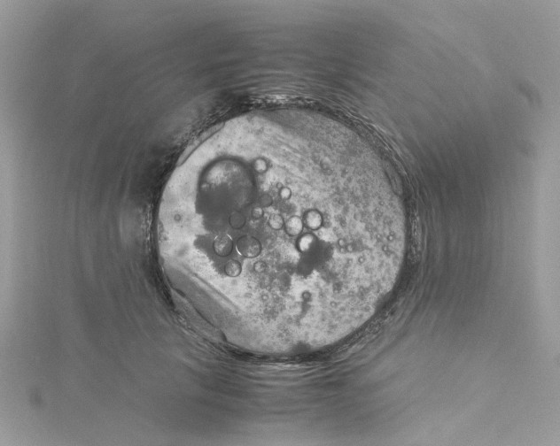 X0000115190657200911181449