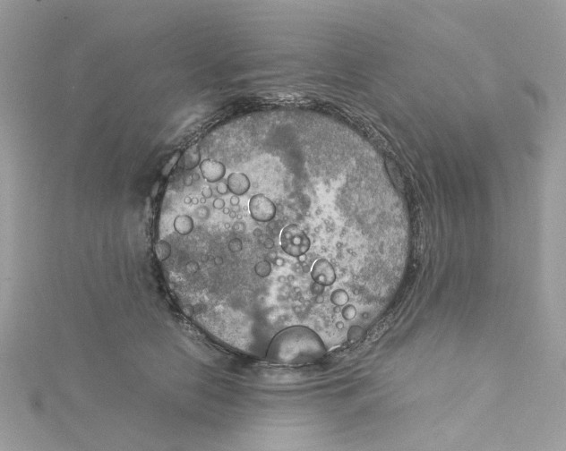 X0000115190658200911181449