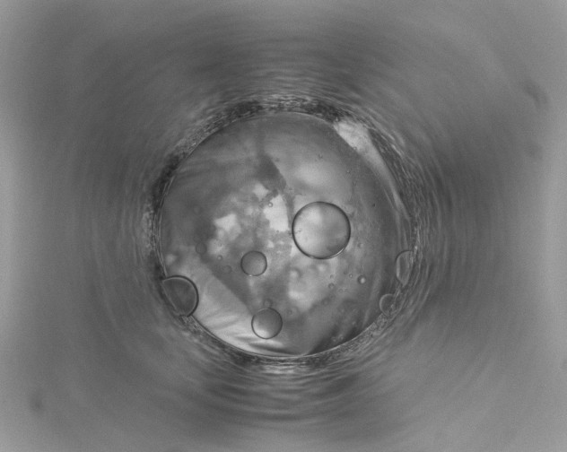 X0000115190659200911181449