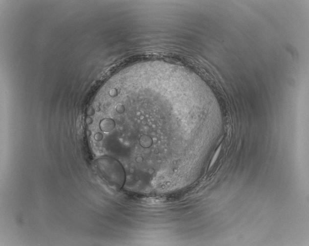 X0000115190660200911181449