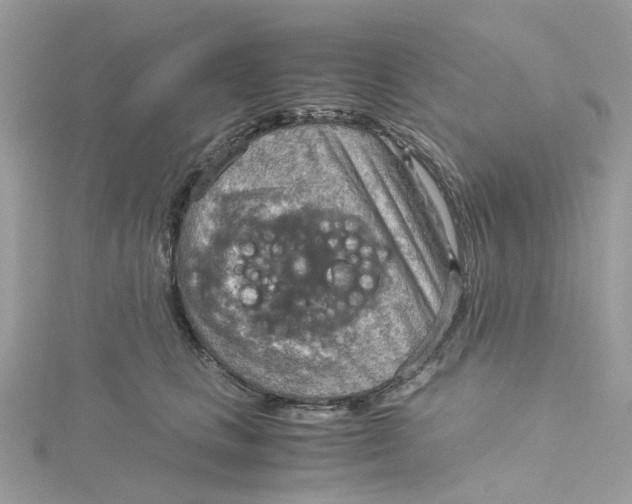 X0000115190661200911181449