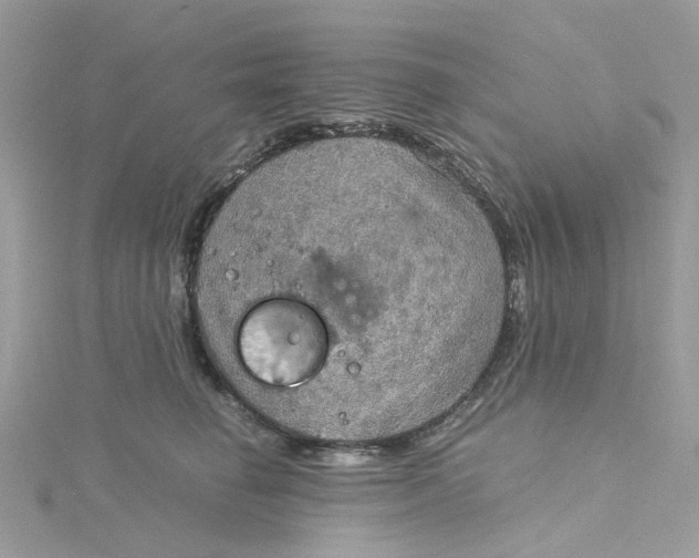 X0000115190662200911181449