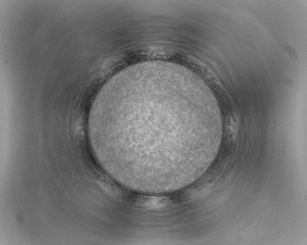 X0000115190663200911181449