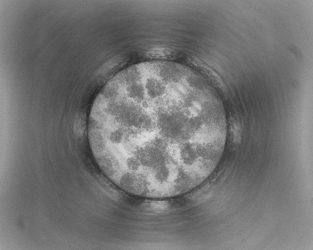 X0000115190665200911181449