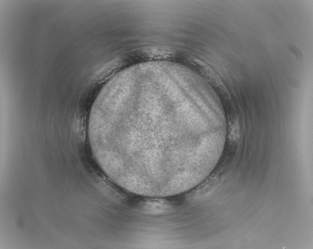 X0000115190666200911181449