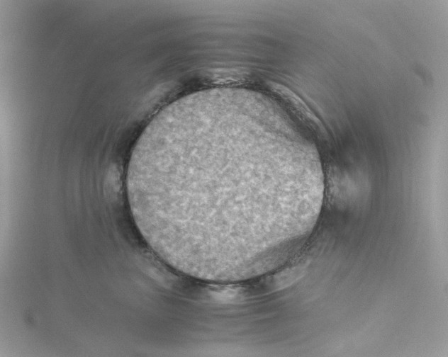 X0000115190667200911181449