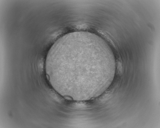 X0000115190668200911181449