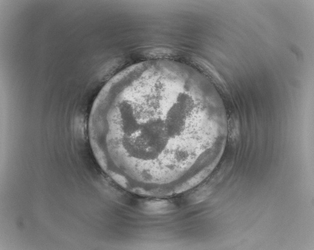 X0000115190669200911181449