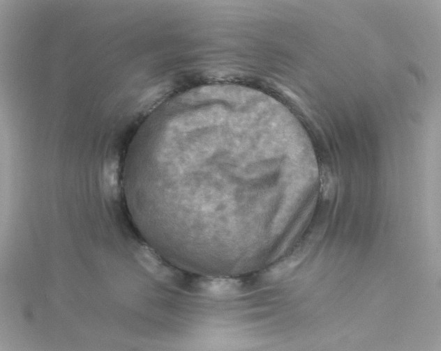 X0000115190670200911181449