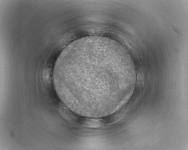 X0000115190671200911181449