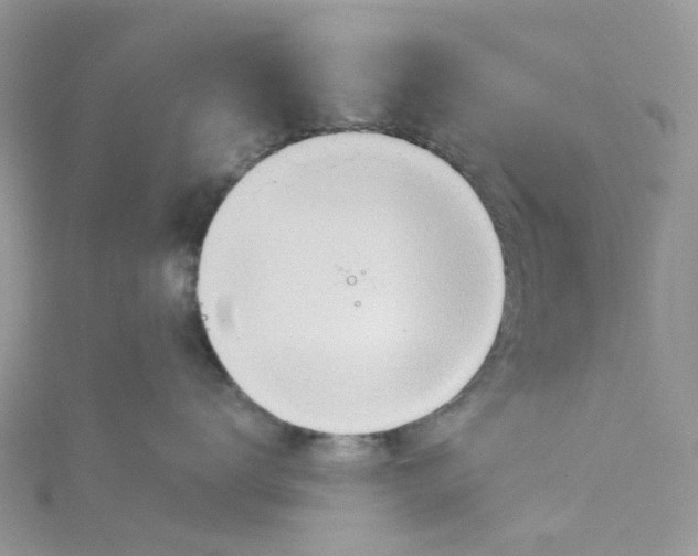 X0000115190672200911181449