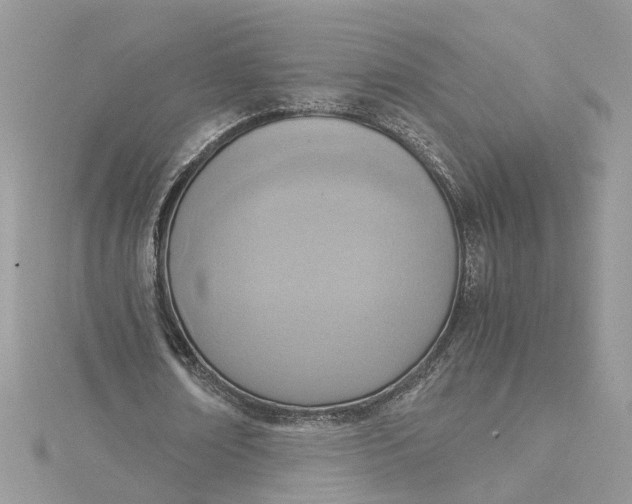 X0000115190674200911181448