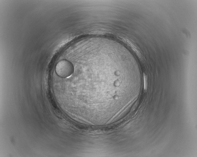 X0000115190675200911181448