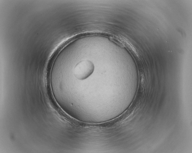 X0000115190676200911181448