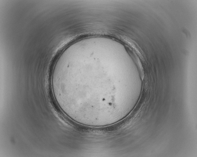 X0000115190677200911181448