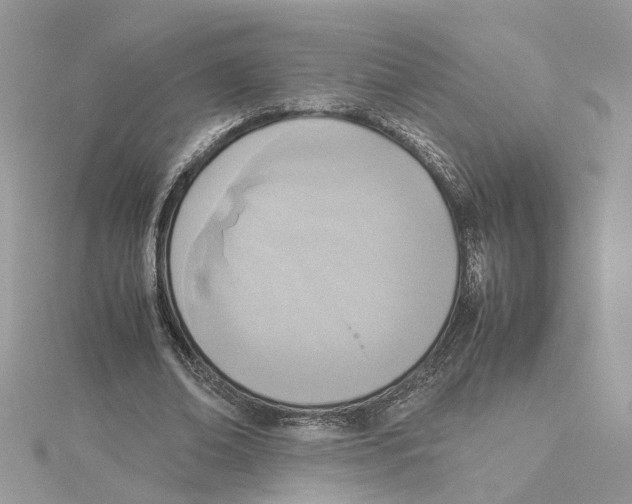 X0000115190678200911181448