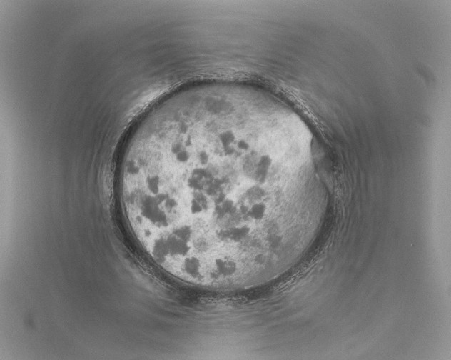 X0000115190679200911181448