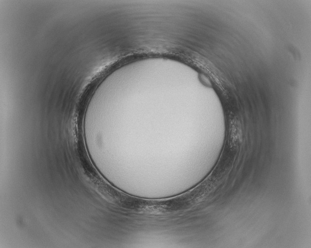 X0000115190680200911181448