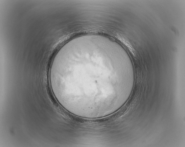 X0000115190681200911181448