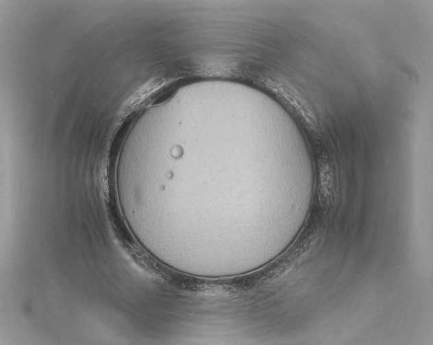 X0000115190682200911181448