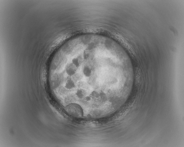 X0000115190683200911181448