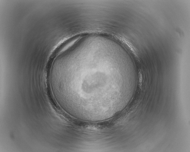 X0000115190684200911181448