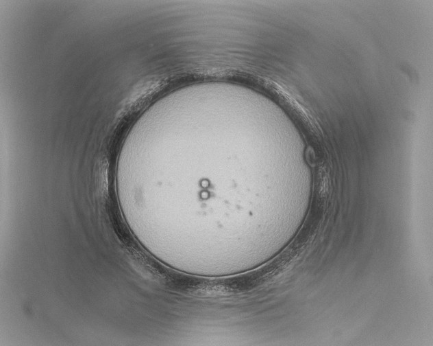 X0000115190685200911181448