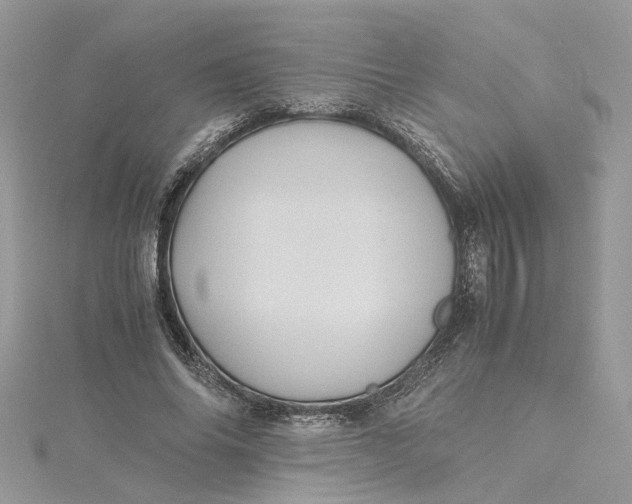 X0000115190686200911181448