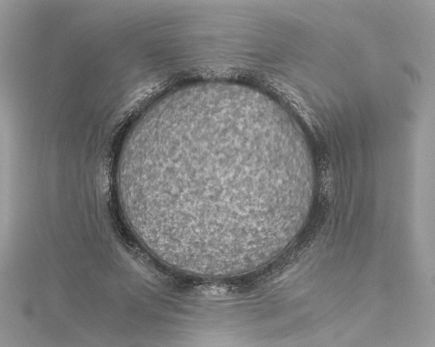 X0000115190687200911181448