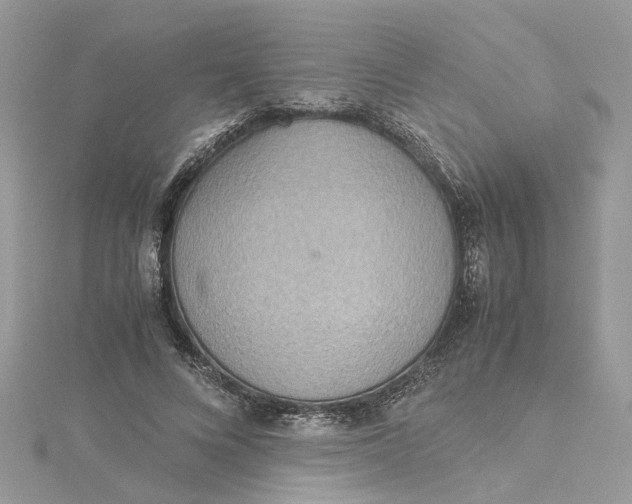 X0000115190688200911181448