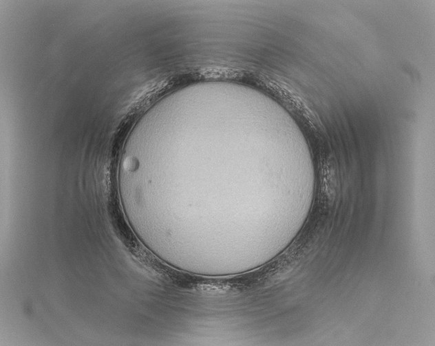 X0000115190690200911181448