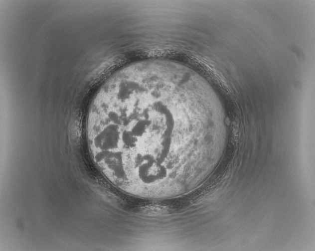 X0000115190691200911181448