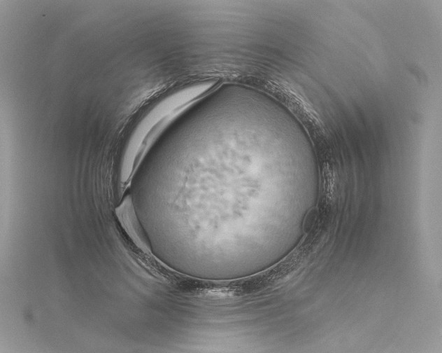 X0000115190692200911181448