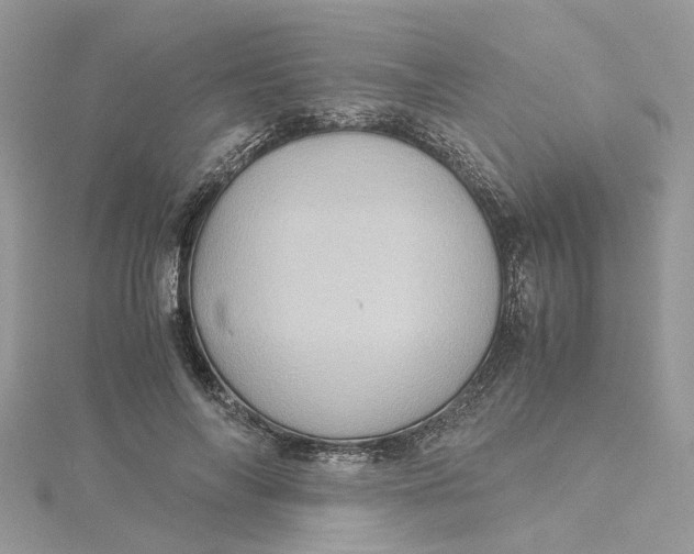 X0000115190694200911181448