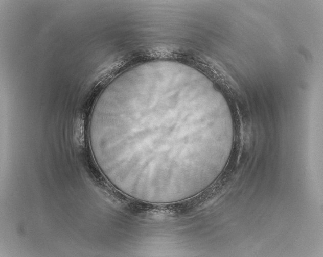 X0000115190696200911181448