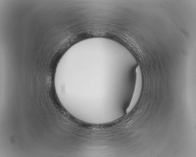 X0000115190697200911181448