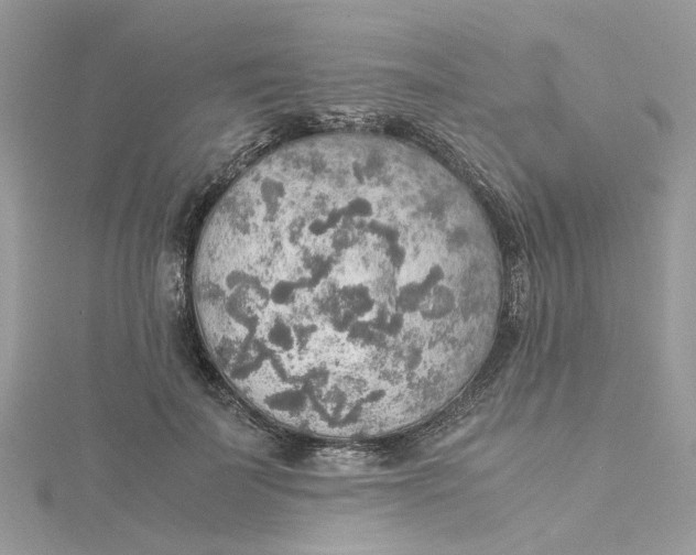 X0000115190699200911181448