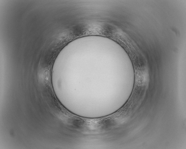 X0000115190701200911181448