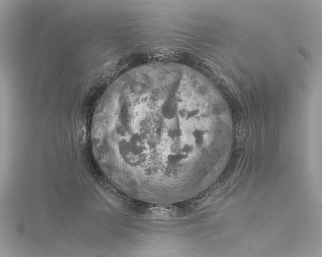 X0000115190703200911181448