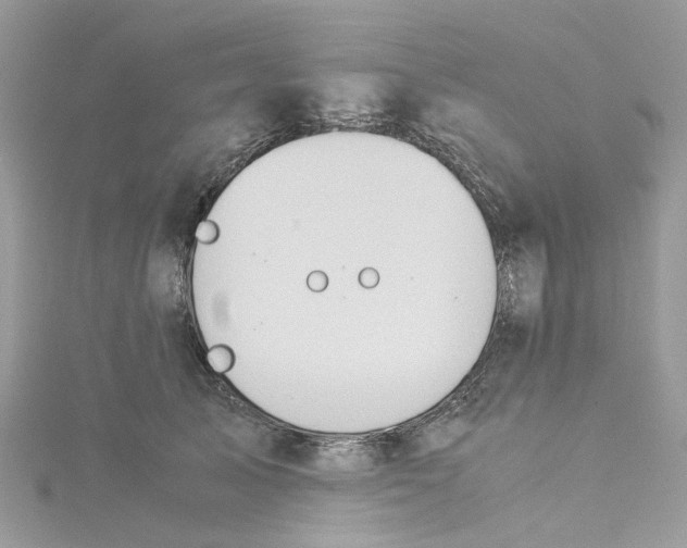 X0000115190705200911181448