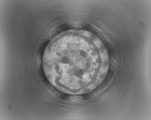 X0000115190707200911181448