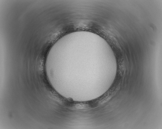 X0000115190708200911181448