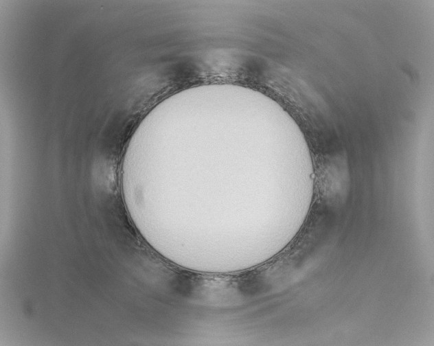 X0000115190709200911181448