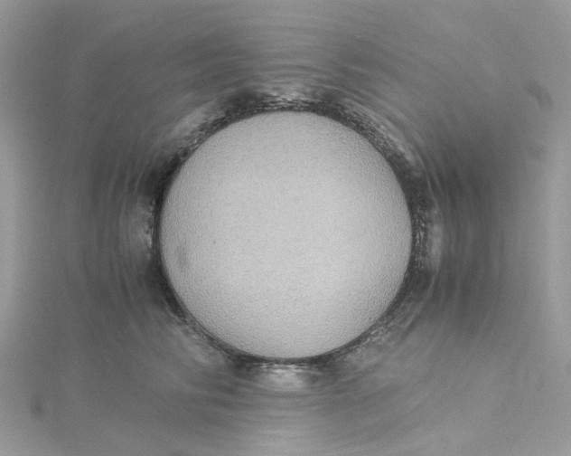 X0000115190710200911181448